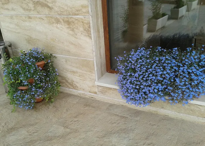 Seasons 3 2* 阳光海滩